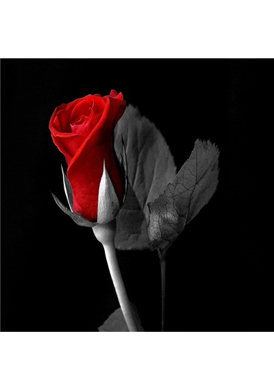 Kırmızı Gül Ve Gerbera Doğal Taş Bardak Altlığı 4'lü Set Taş Kırmızı
