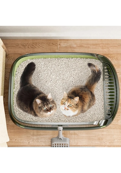 Techtic Yavru Kediler İçin Yarı Kapalı Kedi Tuvaleti Kürek Hediyeli