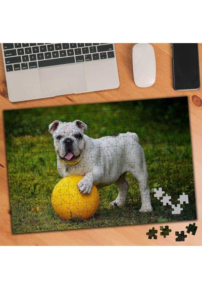 Top Oynayan,oyun Sever Köpek 240 Parça Puzzle Yapboz-562723