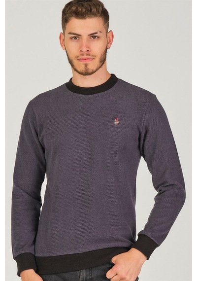 V4004 Dewberry Erkek Sweatshırt-antrasit Antrasit