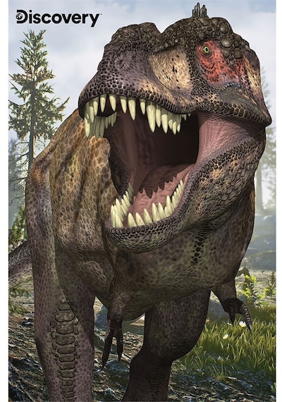 Prime 3d Discovery T-rex Ve Allosaurus İkili Puzzle 200 Parça 10248