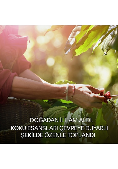Air Wick Botanica Gül & Sardunya Tazeliği Çubuklu Oda Kokusu 80 ML