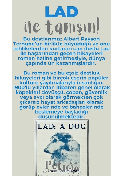 Petjoo 23.Lad Gri-Mavi Qr'lı Köpek Künyesi