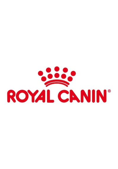 Dana Kamış 100% Doğal Köpek Ödül Sı 200 Gr