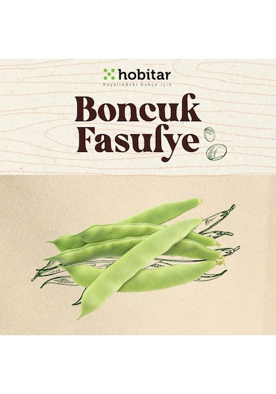 Hobitar Boncuk Fasulye Tohumu