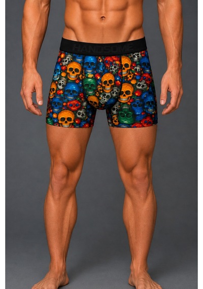 Brem Handsome Renkli Kurukafa Desenli Erkek Boxer Çok Renkli
