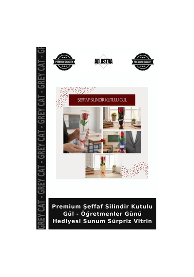 Premium Şeffaf Silindir Kutulu Gül - Öğretmenler Günü Hediyesi Sunum Sürpriz Vitrin Çok Renkli
