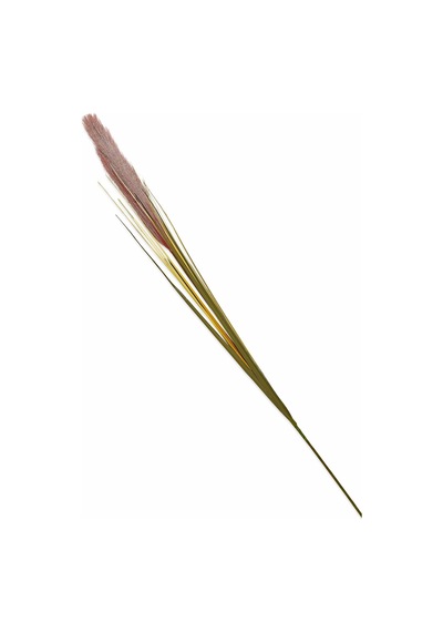 Pasabahce Grass Turuncu / Bej 92 Cm - 1 Adet