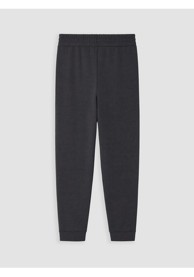 Lcwaıkıkı Classic Antrasit Regular Fit Erkek Jogger Eşofman Altı