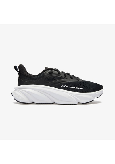 Under Armour Rogue 6 Kadın Siyah Koşu Ayakkabısı 6006720
