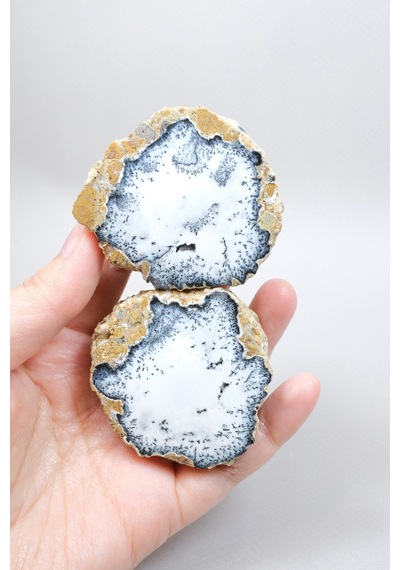 Dendritik Simya: Merlinit Dendritik Opal - Cilalı Çift