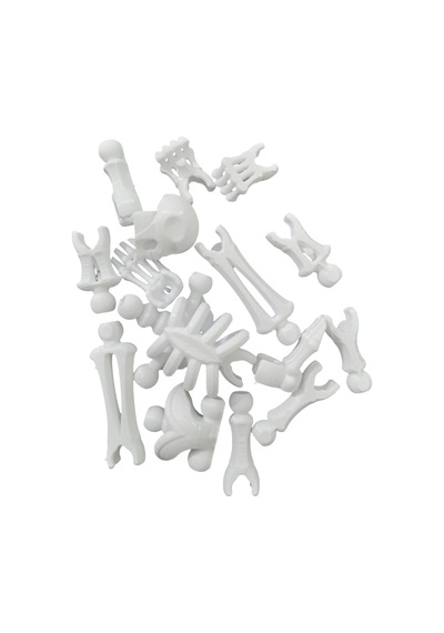 Sök+tak İnsan İskeleti