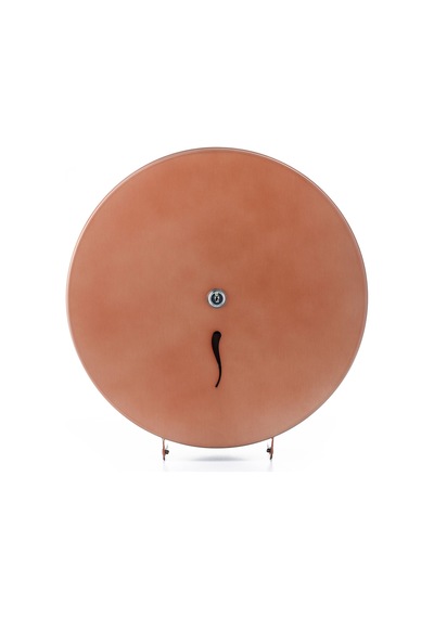 ARGESAN-Paslanmaz Çelik WC Kağıtlığı JUMBO Q28 cm-ROSE
