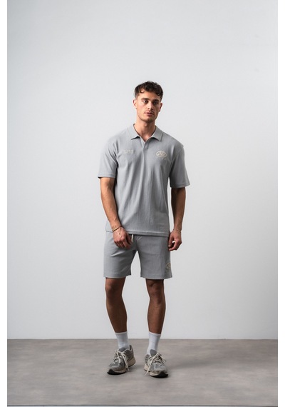 Erkek 242 Nakışlı Regular Fit T-shirt Şort Takım Gri