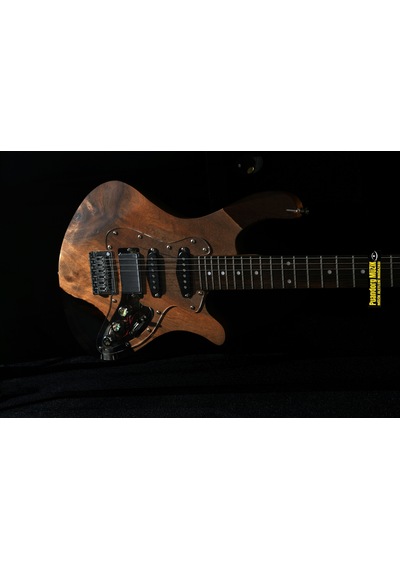 Elektro Gitar Silver1 Custom Epoksi & Yıllanmış Ağaç Kişiye Özel Ceviz - Şeffaf