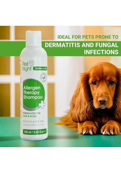Pet Right Allergen Therapy Shampoo Kedi-köpek