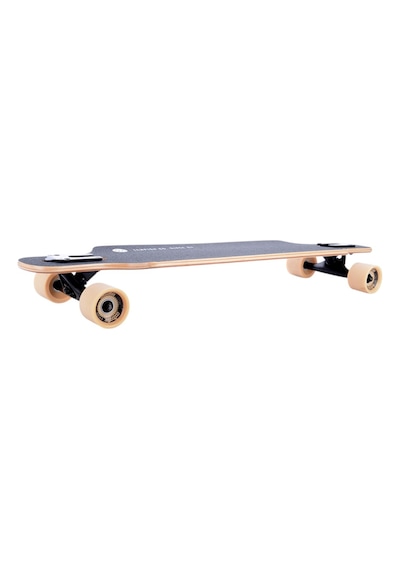 Tempish Coon Longboard Çok Renkli