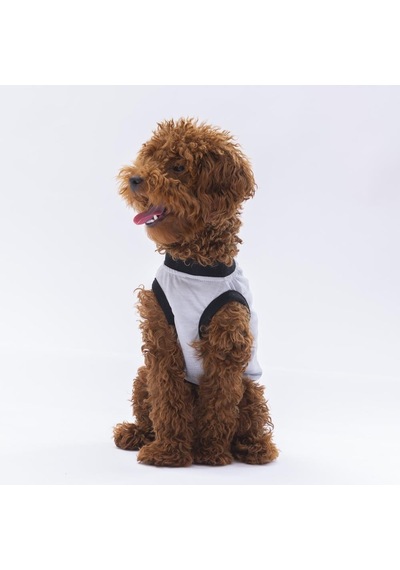 Pawstar Gri Travel Kedi Köpek Tişörtü Kıyafeti