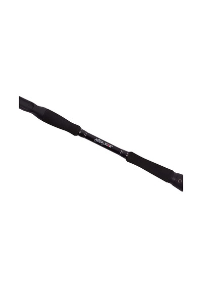 Albastar Novus C Kamış 100-300gr 165cm