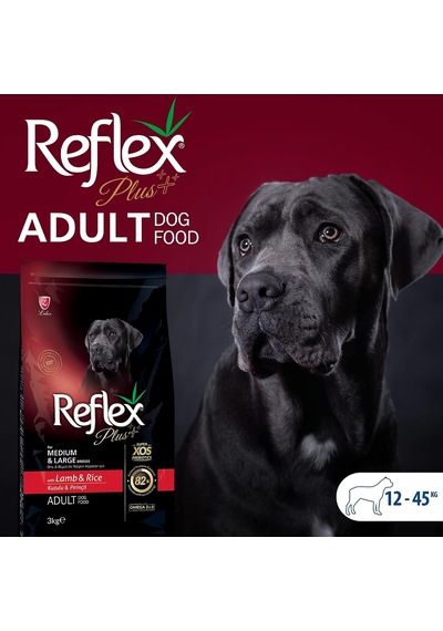Plus Orta Büyük Irk Kuzu Yetişkin Köpek Maması 3 Kg