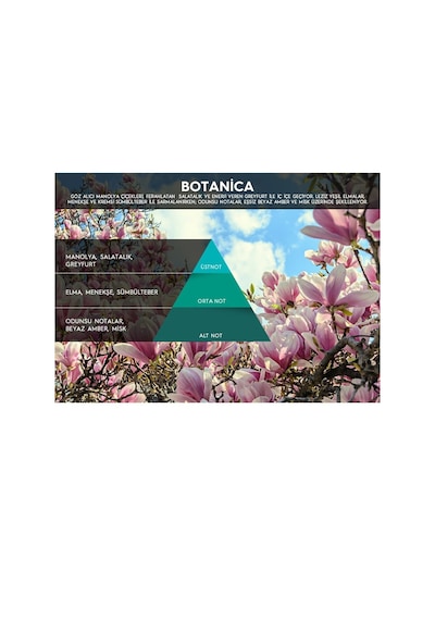 Botanica Koku Kartuşu 200 ml (M7)