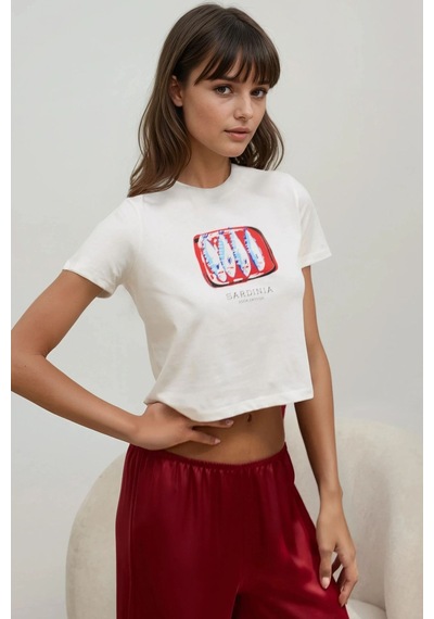 Hiccup Baskı Detaylı Regular Fit Bisiklet Yakalı %100 Pamuklu Crop T-shirt Buz Mavi