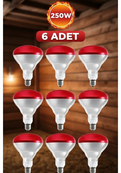 Bay 6 Adet 250w Kızılötesi Isıtıcılı Hayvan Isıtma Ve Kuluçka Lambası Kırmızı Işık E27 Kalın Duy N