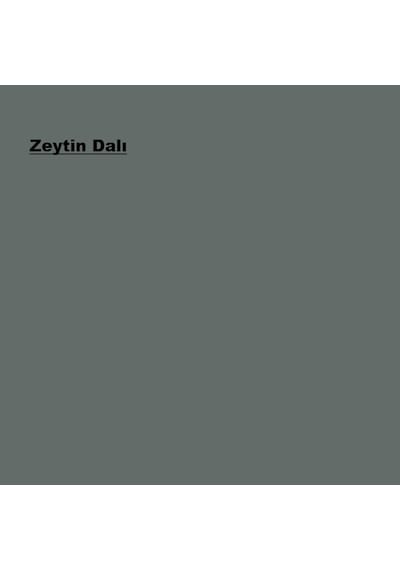 Marshall Solvent Bazlı Panel Kapı Boyası Zeytin Dalı 2,5l