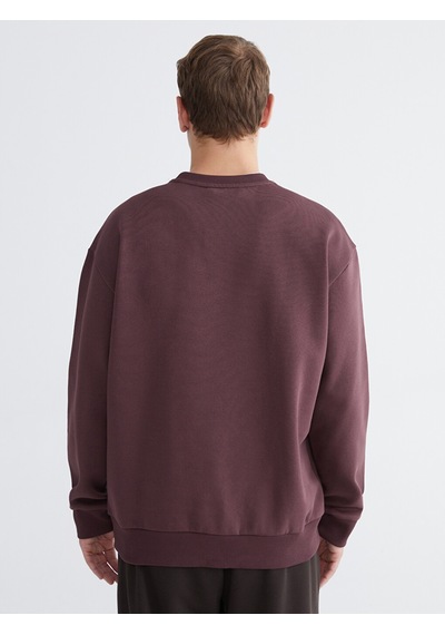 Lcw Vision Mürdüm Bisiklet Yaka Erkek Kalın Sweatshirt