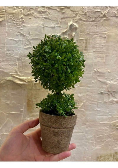 Geometrik Estetik: İkili Küre Formlu Canlı Yeşil Dekoratif Bitki 24 Cm X 10 Cm Yeşil
