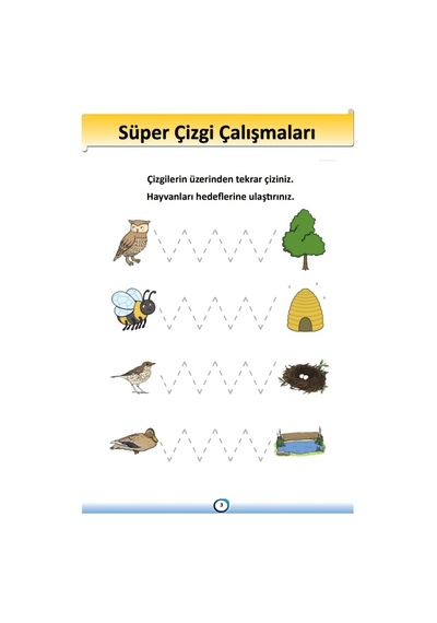 Okul Öncesi Süper Çizgi Çalışması Kitabı