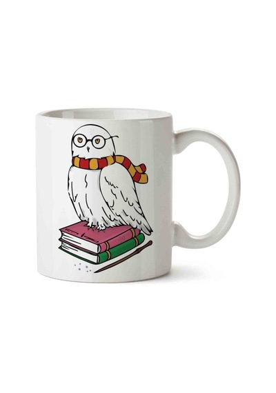 Hp Hedwig Baykuş Kitap İki Tarafı Baskılı Kupa Bardak Çok Renkli