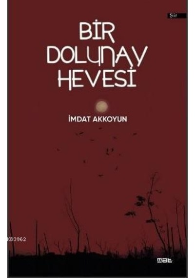 Bir Dolunay Hevesi