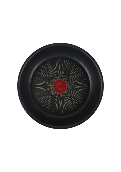 Tefal Tava 24 Cm L20006 Çok Renkli