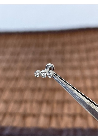 316 L Cerrahi Çelik Üç Taş Modeli Helix Tragus Dudak Kıkırdak Piercingi Gümüş