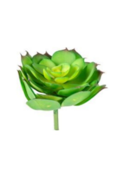 Yapay Eçeverya Sukulent Kaktüs Yeşil 14 Cm. Çok Renkli