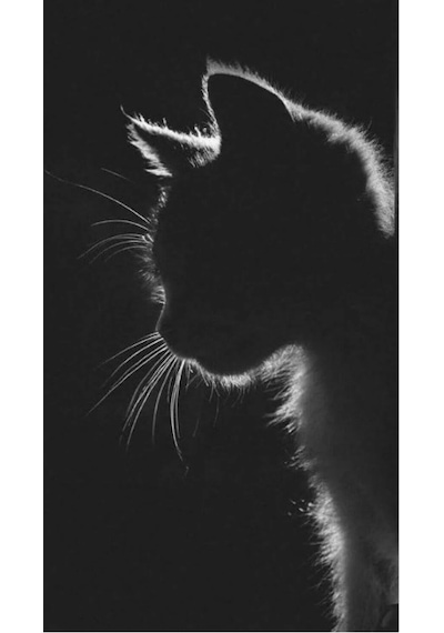 DreamArt Galery Black Eskiz Defteri 20x20 32 Yaprak