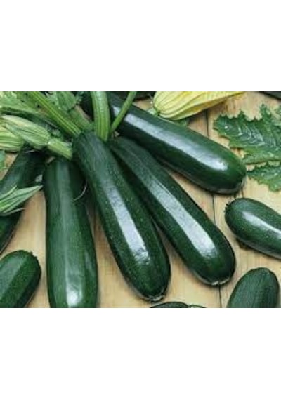 20 Adet Tohum Organik Köy Kara Kabak Tohumu Yeni Hasat Yayla Tohu