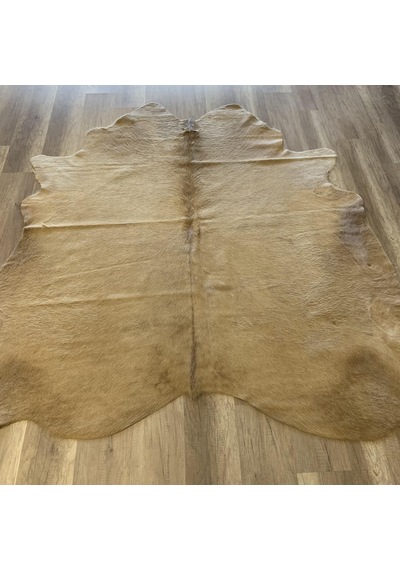Hoom Rugs Dana Derisi P09 3,45m2