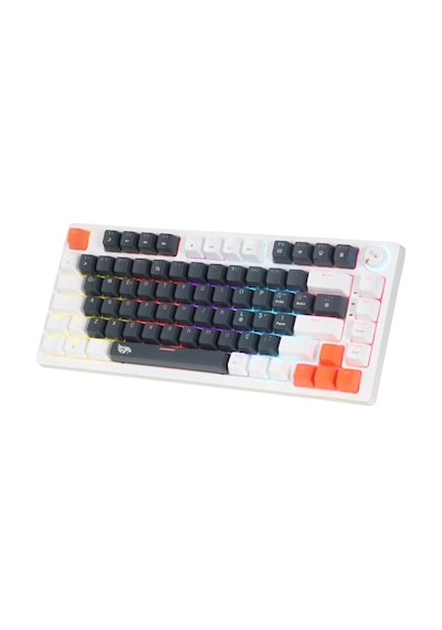 Mekanik Rgb Gaming Kablolu Klavye 81 Tuşlu Mavi Switch Hot Swap Double Shot Örgü Kablolu Oyuncu Klavyesi
