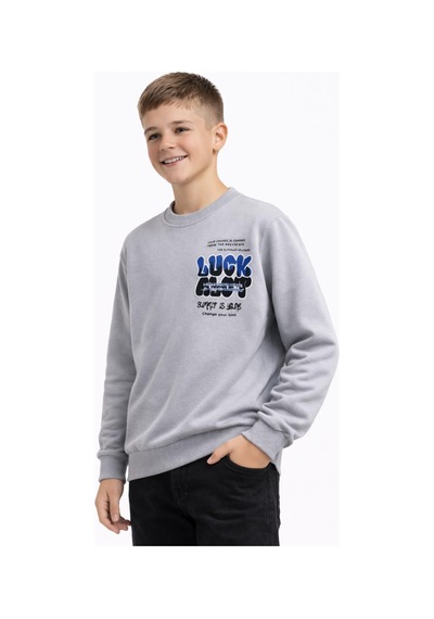Baglan Erkek Çocuk Önü Arkası Baskılı Sweatshirt Bgl-st05237 Gri