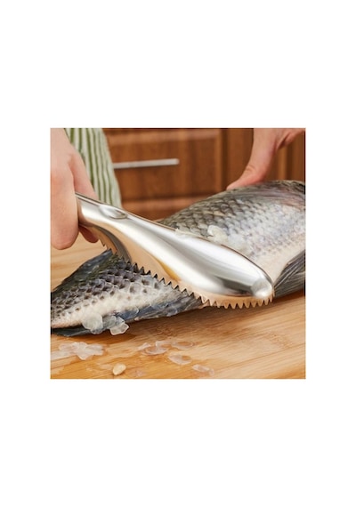 Pratik Balık Pulu Kazıyıcı Aparat Açık Gri