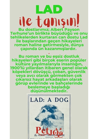 Petjoo 23.Lad Kırmızı-Yeşil Qr'lı Köpek Künyesi