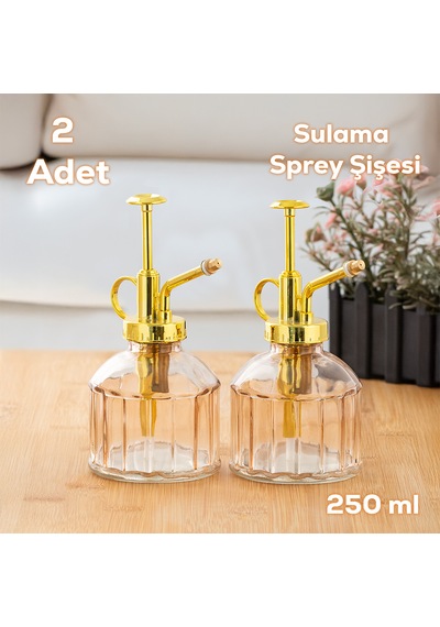 Perotti 15733 2li Pembe Vintage Cam Bitki Sulama Şişesi Sulama Ka