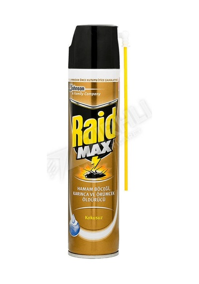 Raid Böcek Savar Sprey 300 Ml