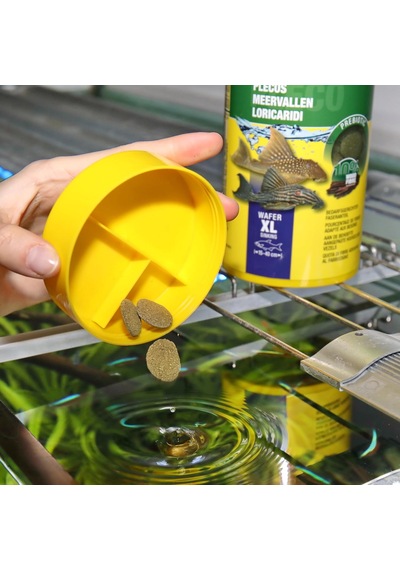 Pronovo Pleco Wafer Xl 1000 Ml
