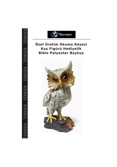 Özel Üretim Okuma Köşesi Kuş Figürü Hediyelik Biblo Polyester Baykuş