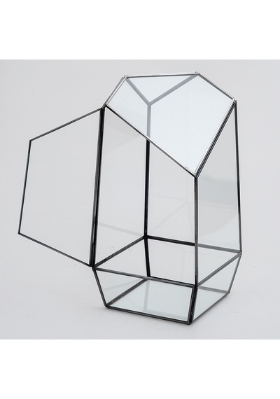 Cam Fanus Geometrik Teraryum Siyah Valens