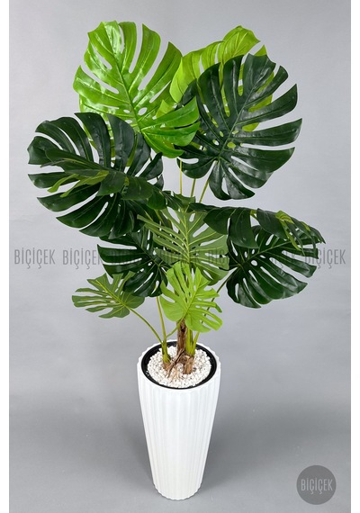 Yapay Monstera Ağacı Deve Tabani 200 Cm Beyaz Li Lyum Saksıda
