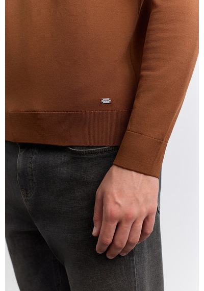 Avva Erkek Kiremit Bisiklet Yaka Rayon Karışımlı Regular Fit Kazak B005026
